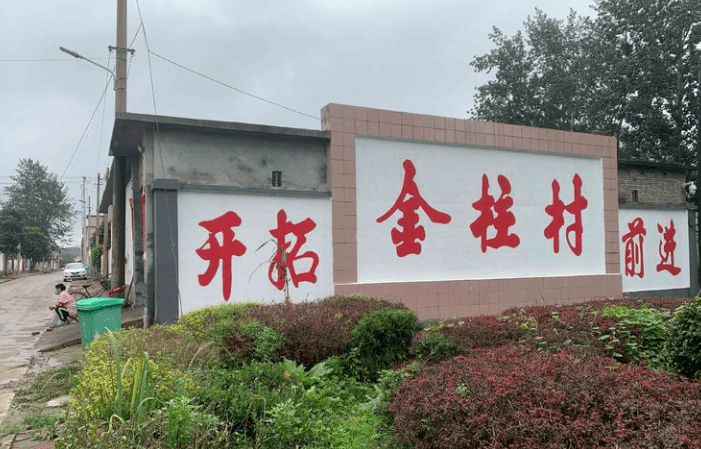 我家有党员,乡亲向我看_金柱村