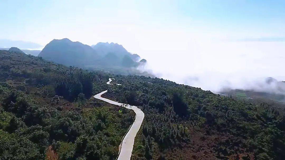 朱有勇院士回到个旧,为家乡发展出谋划策_卡房镇