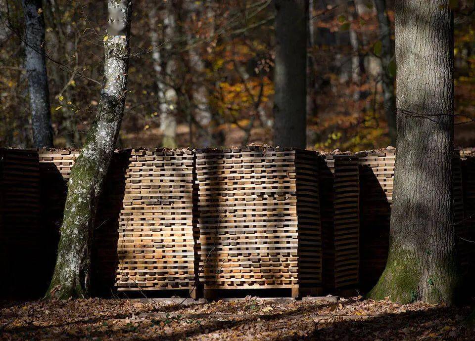 美国|葡萄变成酒这么辛苦,怎么有人只关心橡木桶用得好不好