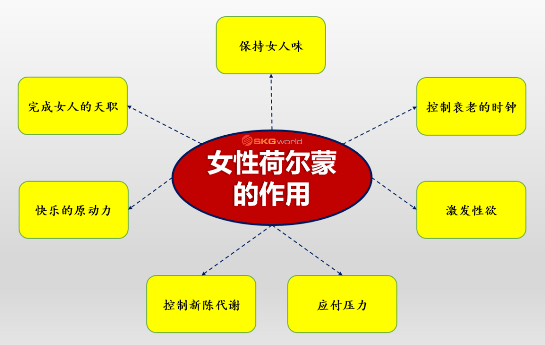 6e787ccac39f4997acfc0cf61b93beca.png