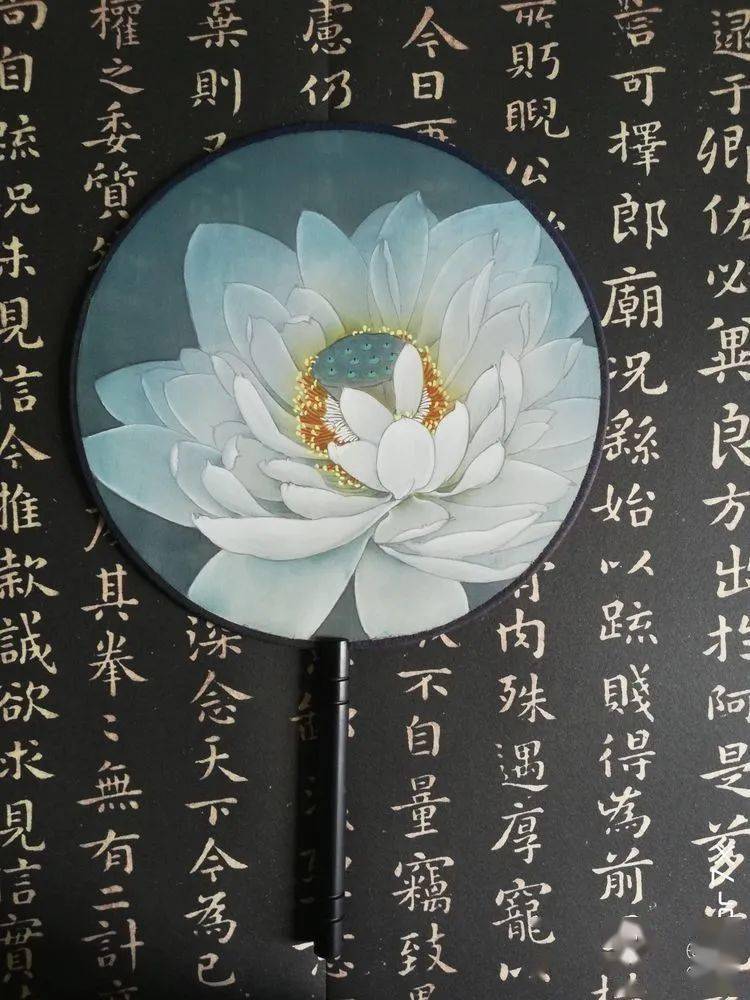 图文教程 | 工笔白荷花团扇绘制初级教程