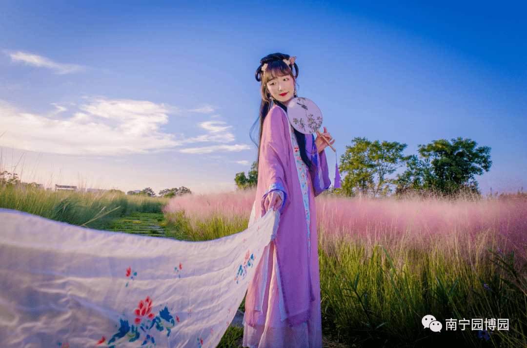 美呆了!粉黛花海来袭,快来邂逅秋日限定的粉红浪漫吧