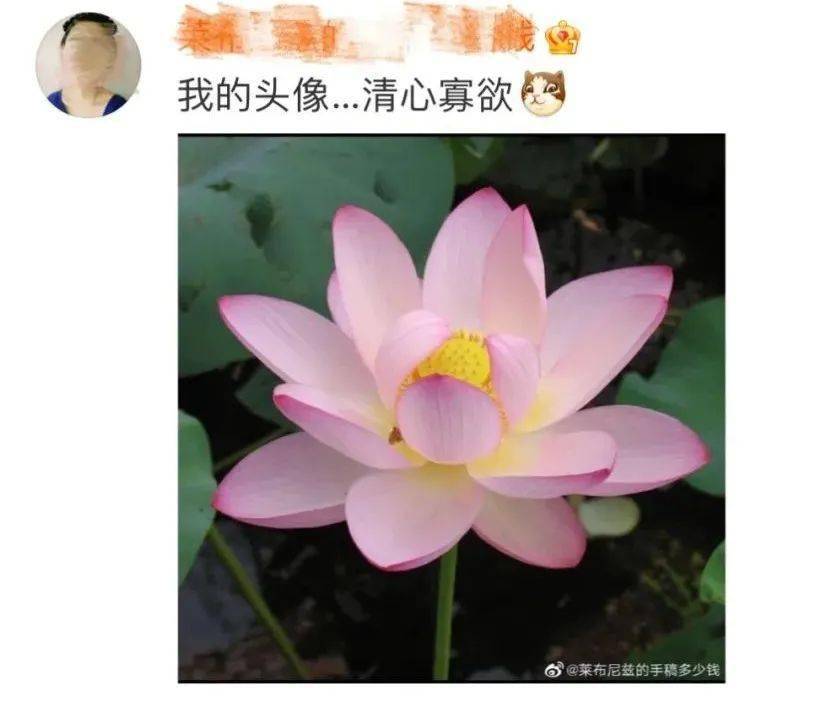 要不,咱換個微信頭像?