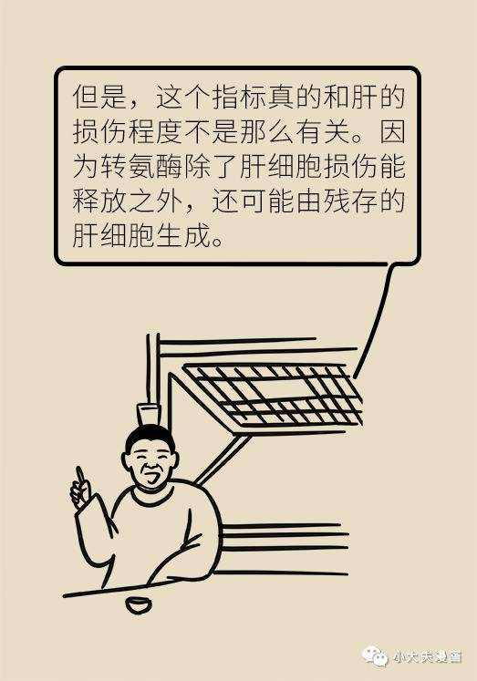 肝功能|肝功转氨酶高就是肝硬化？未必，这几个指标才是重点