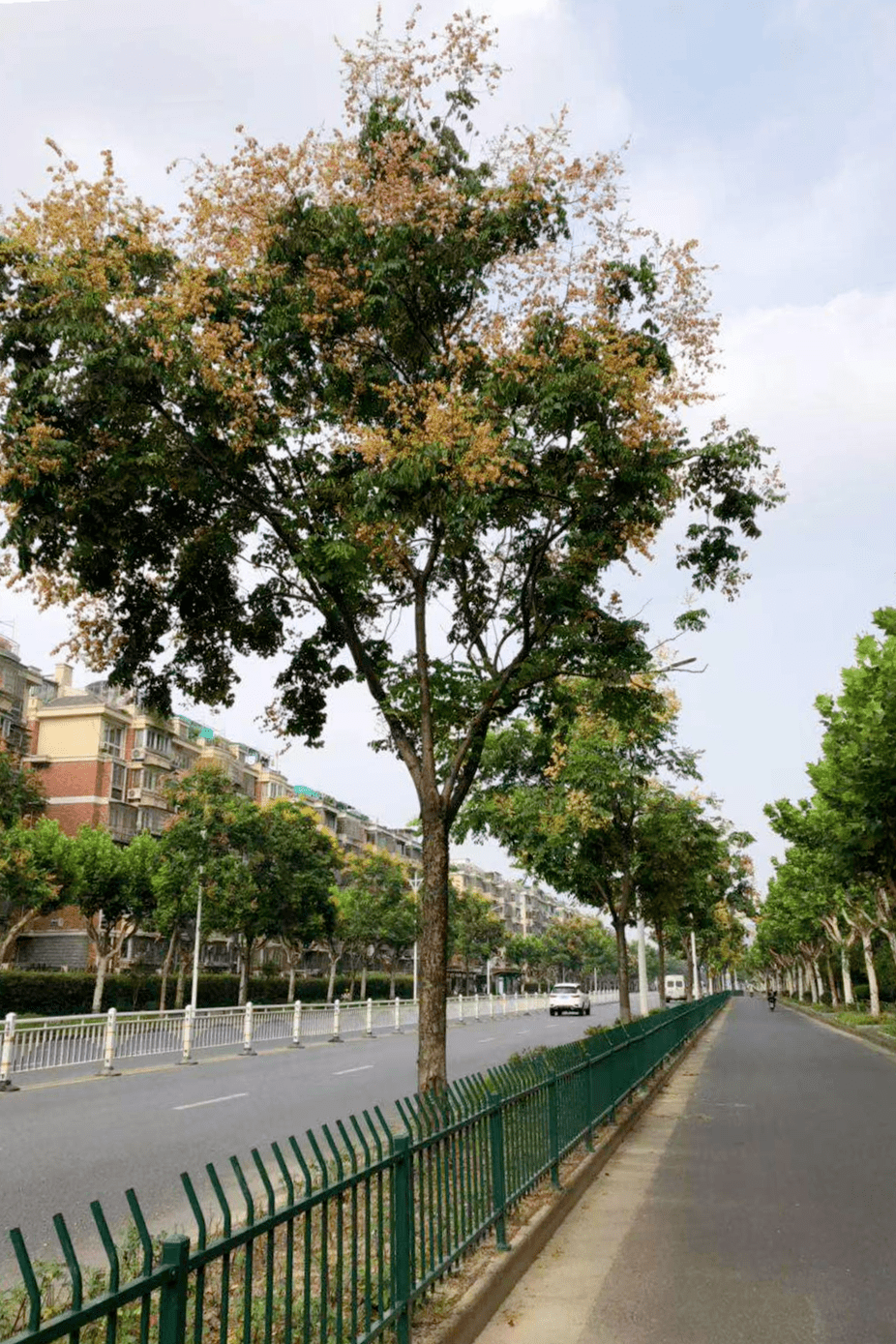 出行市心路萧绍路博奥路萧山这些地方已变色