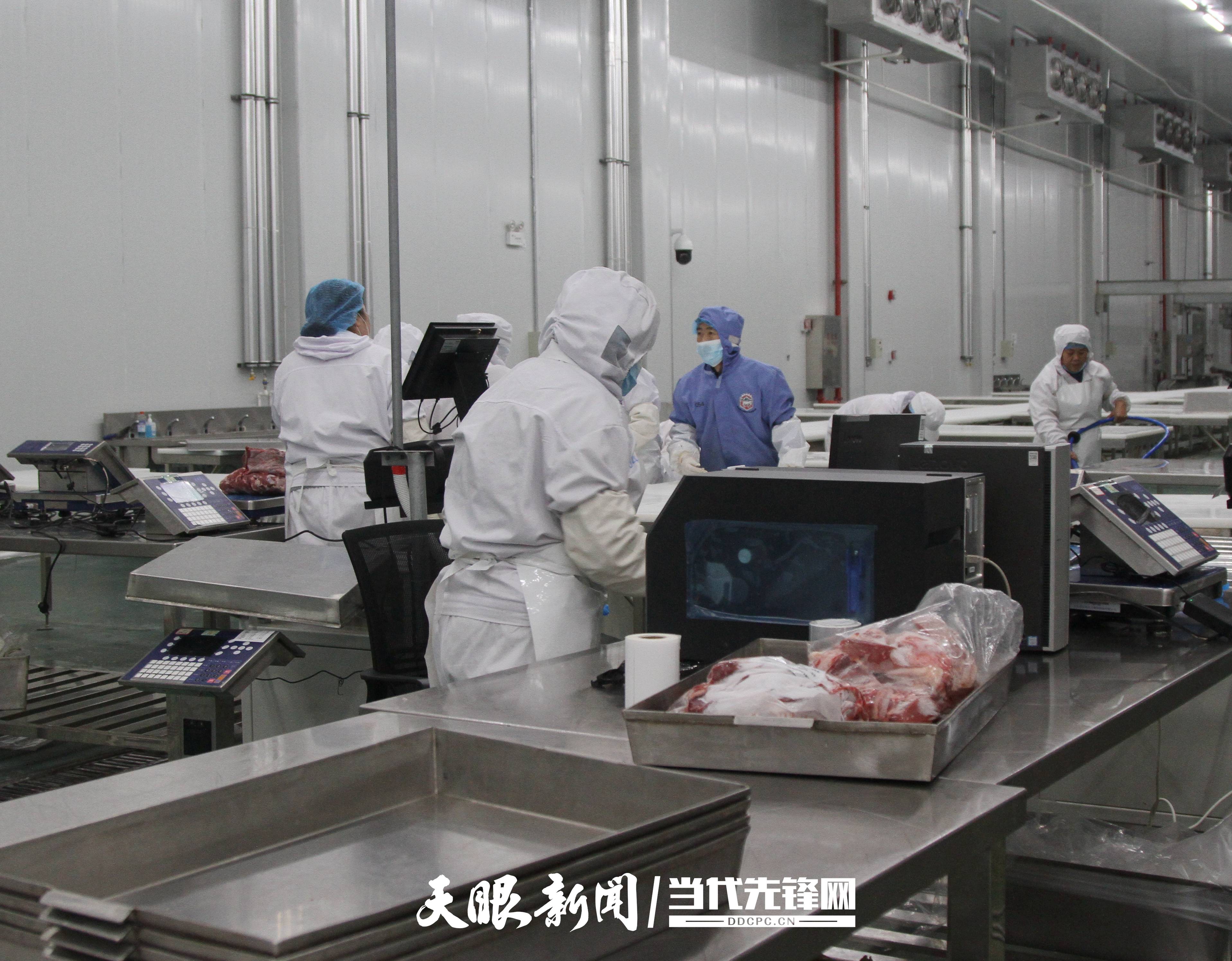 贵州大型肉牛屠宰场图片