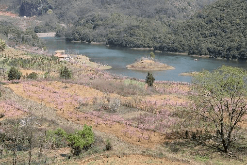 木场桃花岛