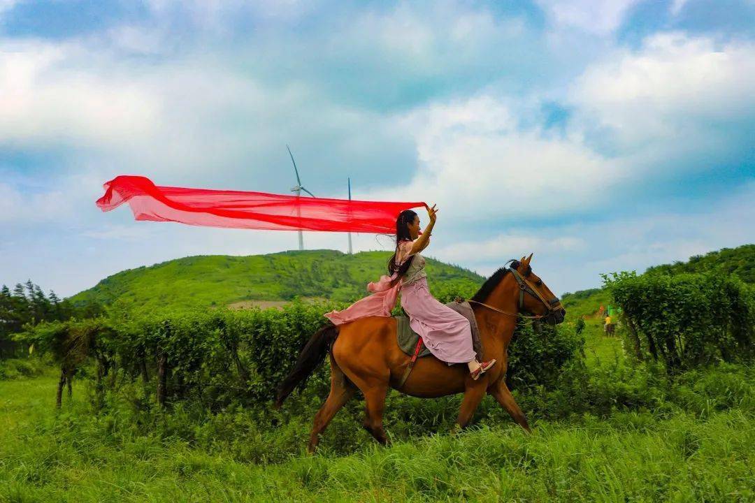 《赛马》---魏翠兰摄影《相约齐岳山》---姚源波摄影买利川特产-荡上