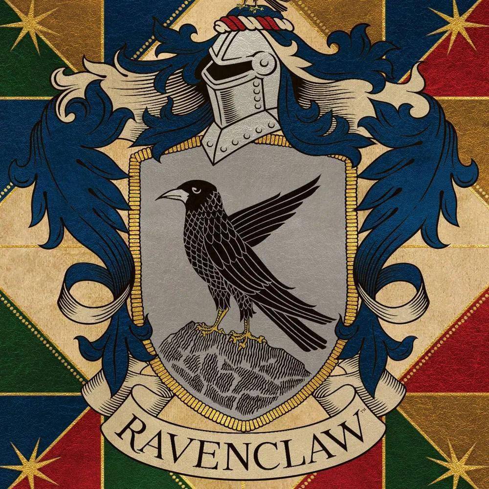 鹰院——拉文克劳(ravenclaw)可能会颠覆你对于游戏的认知.