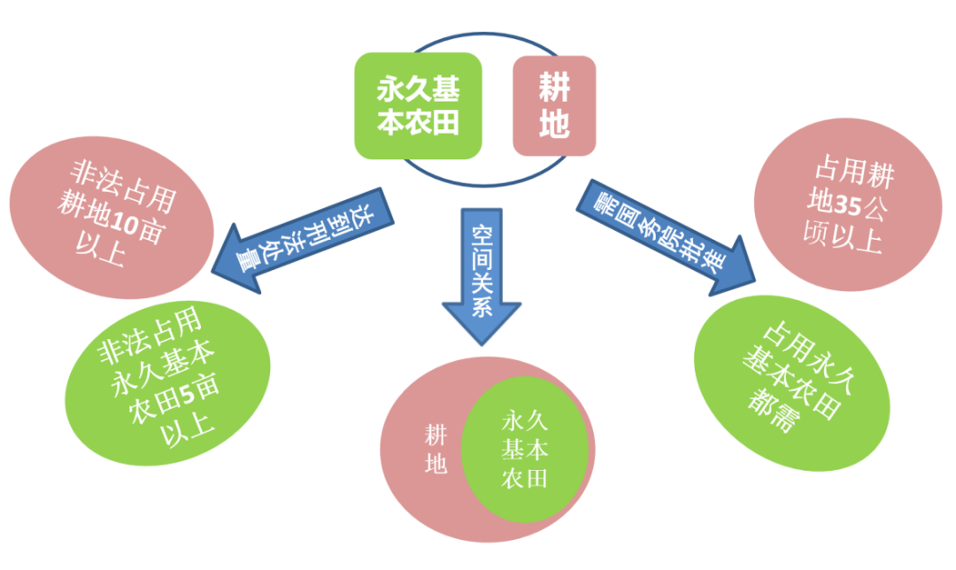 科普貼永久基本農田和耕地有什麼關係如何劃分與管理永久基本農田