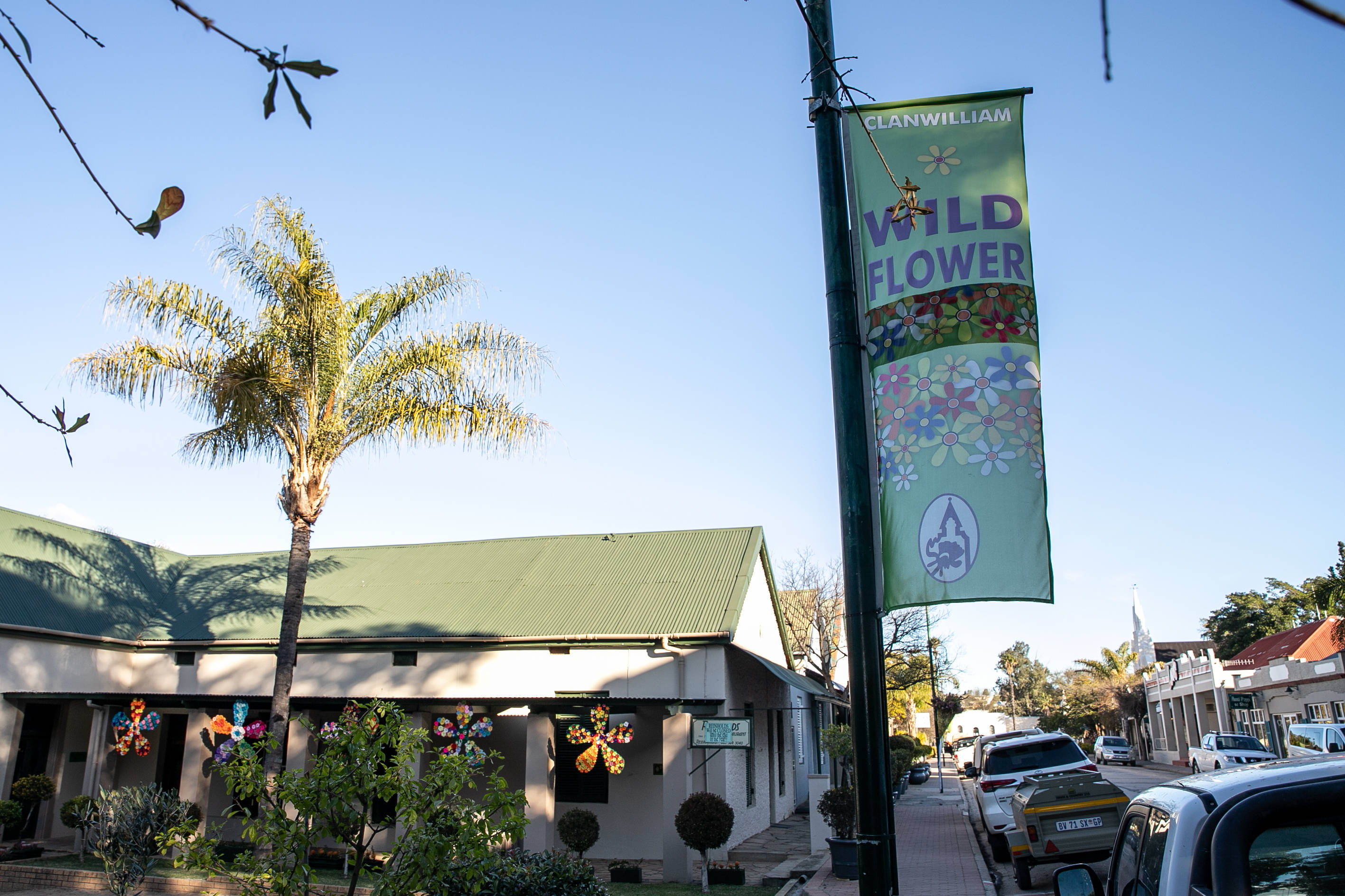 8月28日,在南非西开普省的克兰威廉小镇,带有"野花"字样的条幅悬挂在