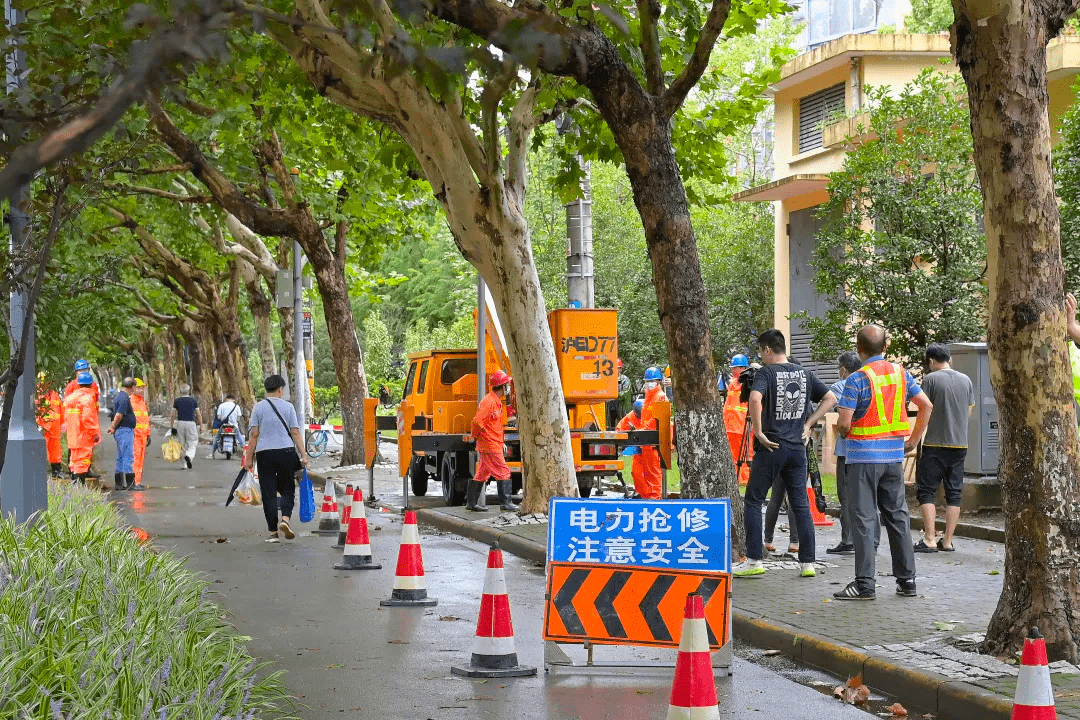 为什么要剪马路边的树枝 0b73ee87c7b84e11bf56bb4ee98cf2b3.png