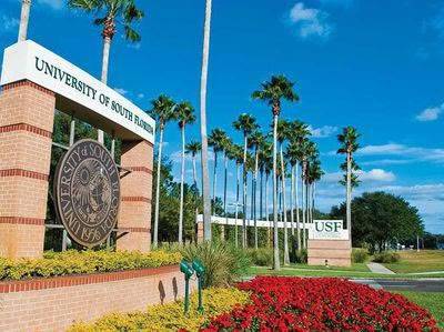 南佛罗里达大学介绍