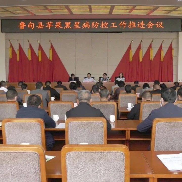 苹果黑星病如何防治?杨绪春提出具体要求!_防控