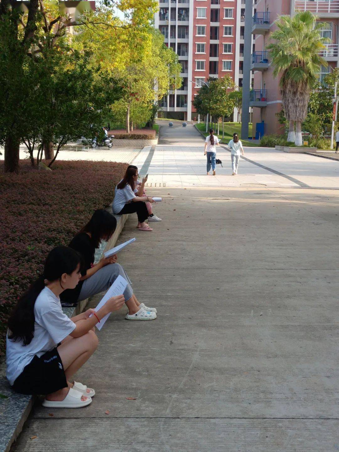 相伴晨读