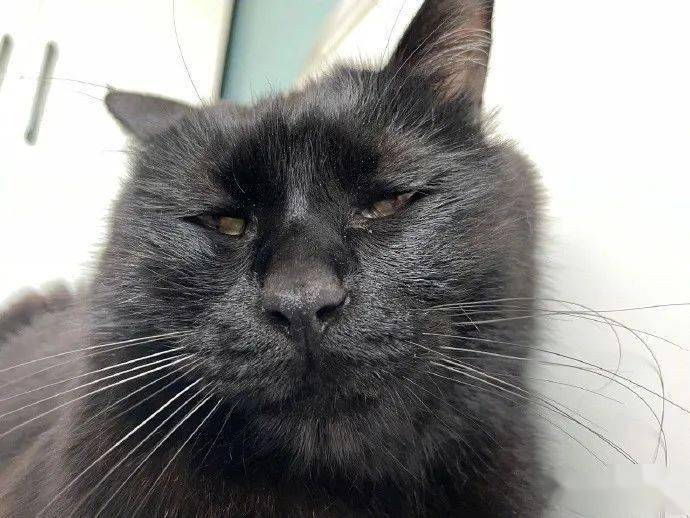 " 哈哈哈哈哈哈结局是给我笑不活了._阿祖