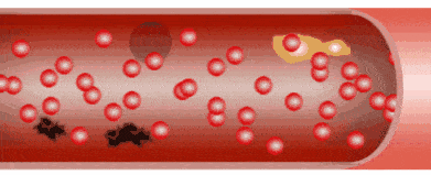 女神|被家暴、背叛,前夫遭砍数刀,被迫退圈6年,如今46岁生俩娃却美成女神,被老公宠成公主......