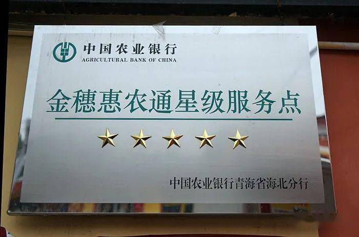 金穗惠农通工程星级服务点在东达村挂牌