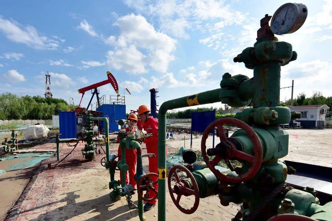 该井组建立起的微生物采油技术体系,为东辛采油厂的高温高盐深层稠油