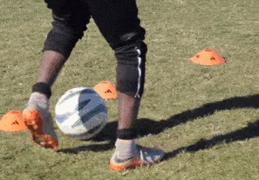 c61962091b3748adab27b955714869eb.gif