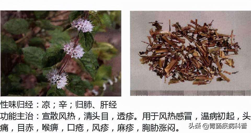 南剑北鞭铁扇子图片