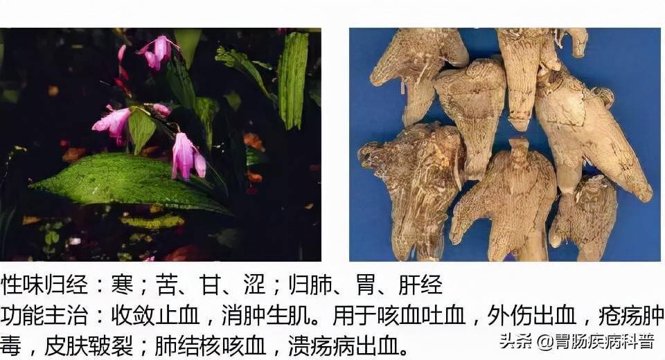 全網最全的中草藥圖譜圖片性味歸經主治功效還不收藏