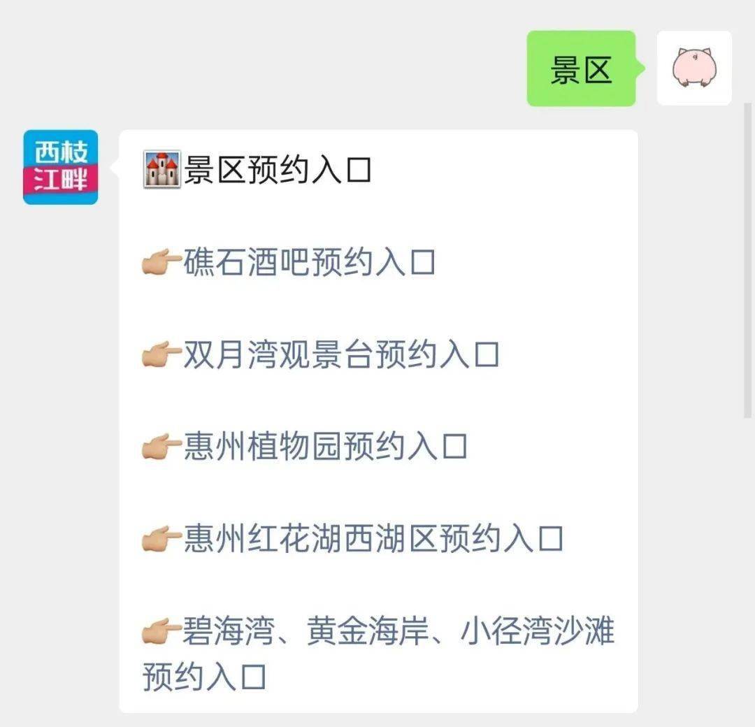 惠东九龙峰谭公祖庙,礁石酒吧恢复开放,附预约方式_东山