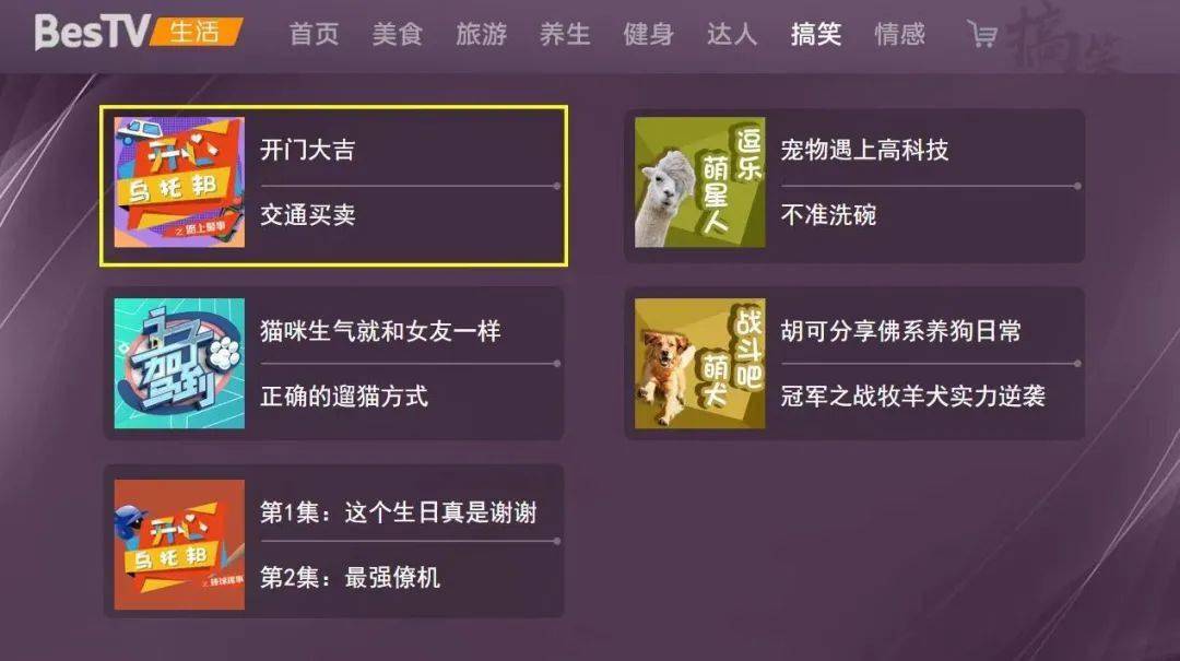 爆笑短剧网站，欢乐源泉的聚集地