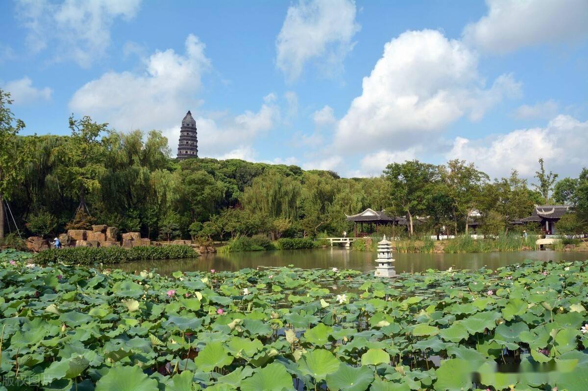 苏州虎丘,丘如蹲虎,故以形名