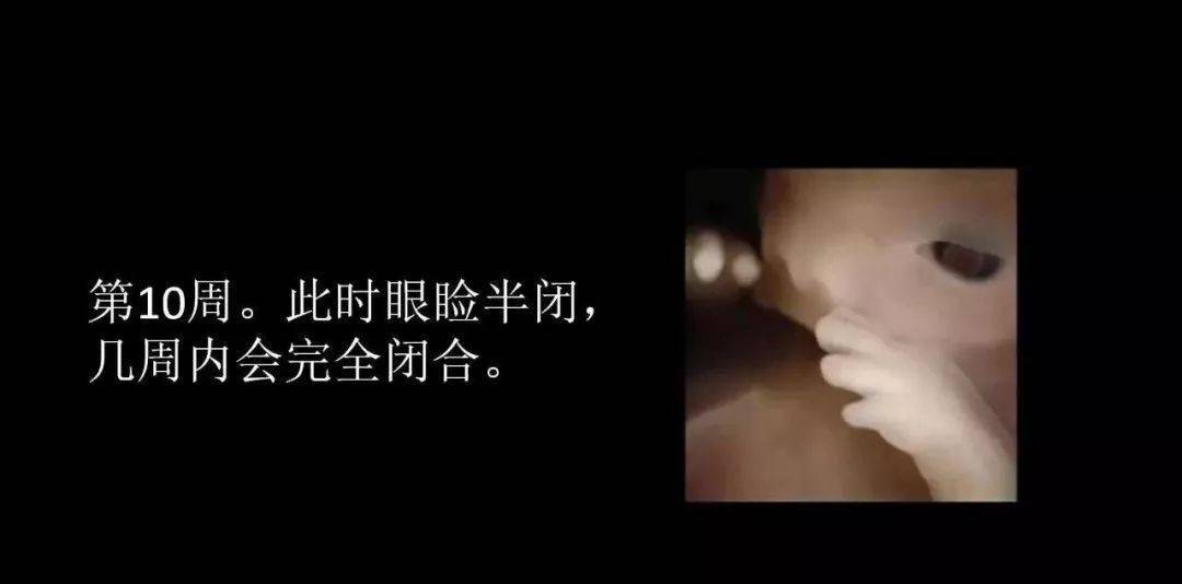 真实的自己长什么样特效 40fce46a49ec449c83b77ac1de50356e.jpeg