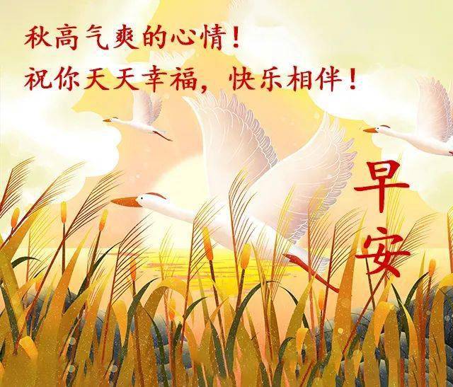70c460cd15cd4d929e17e8bc957d0437.jpeg