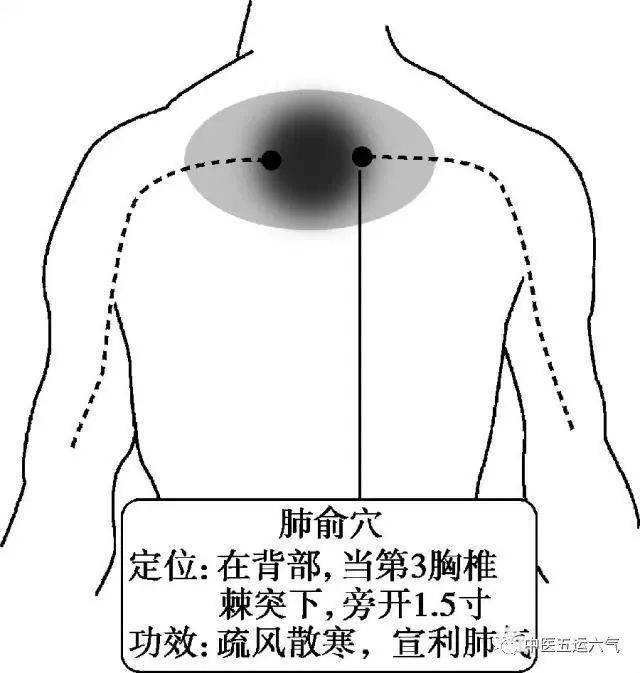 肺腧位置图图片
