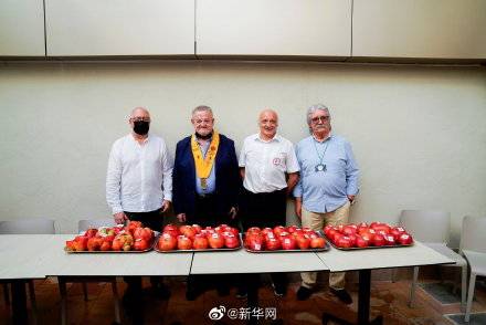 西班牙|西班牙举办最丑番茄奖