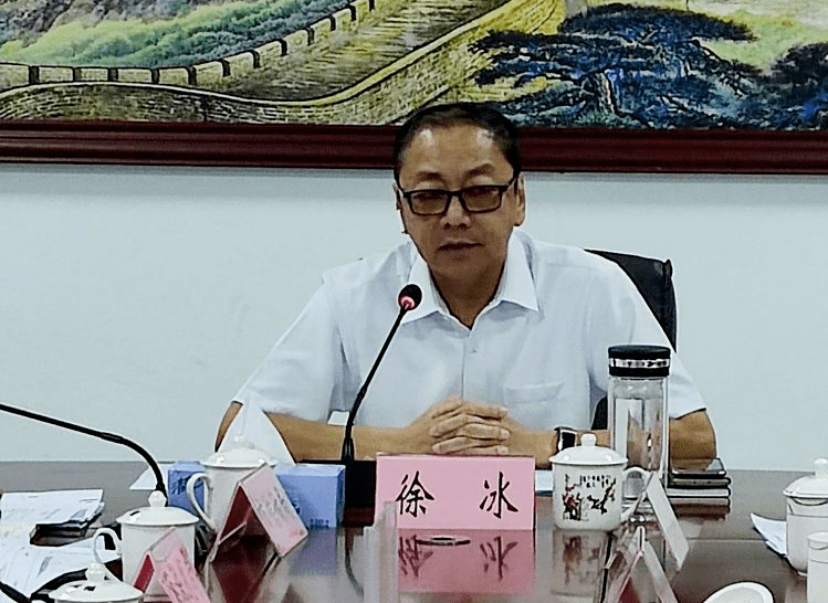 (儋州市召开信访联席会议暨解决信访历史遗留问题推进会)徐冰在讲话时