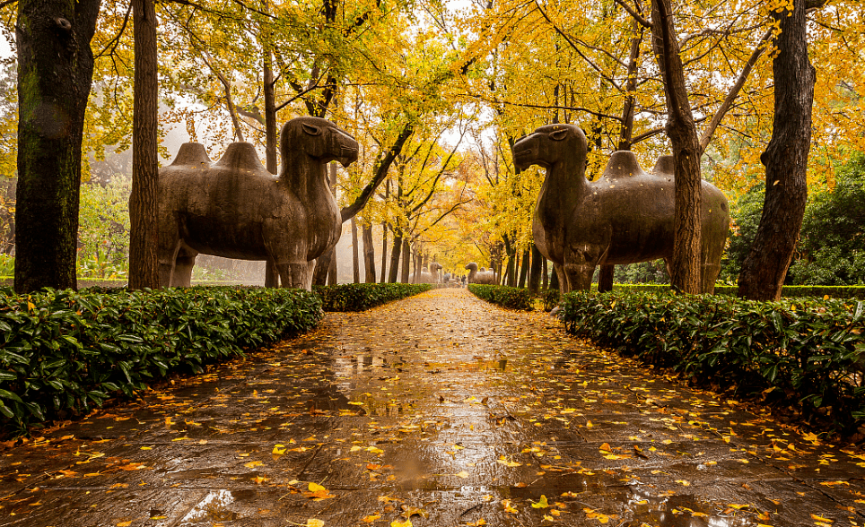 秋天一定要来一次南京