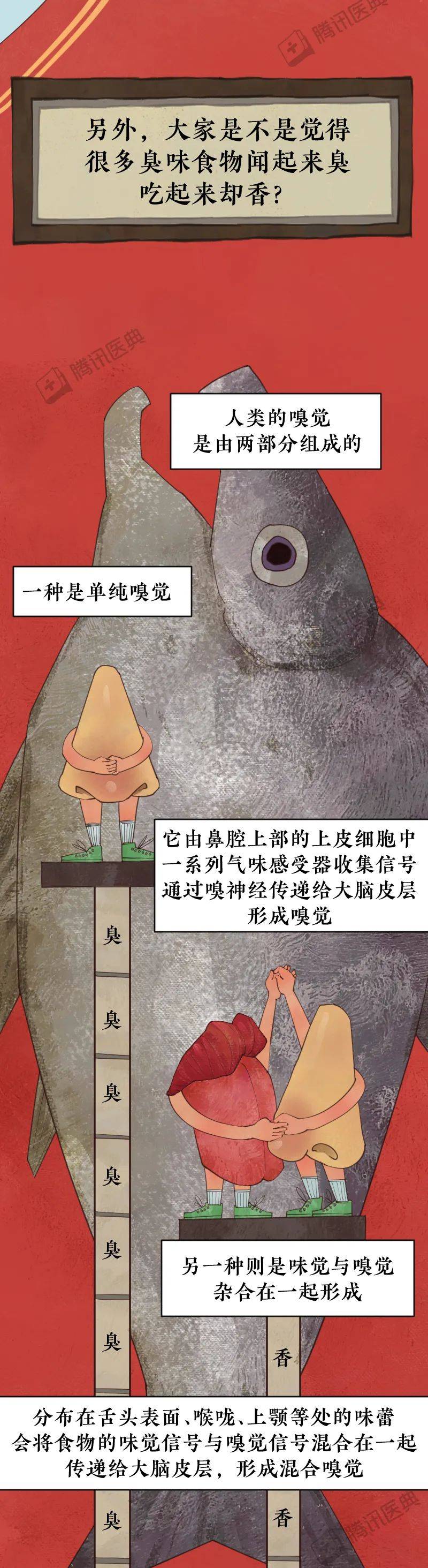 阎玉霞|那些闻起来臭烘烘的食物，为啥那么多人喜欢吃？