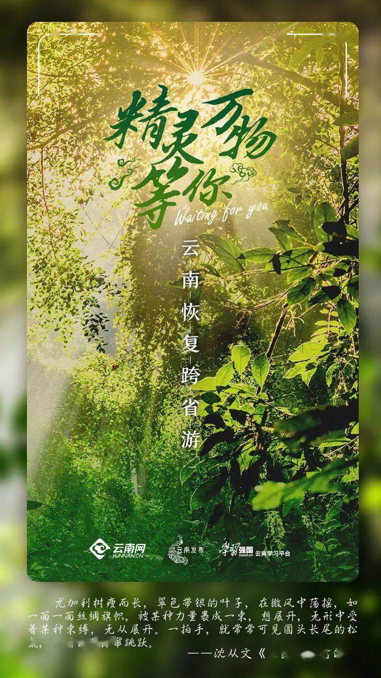 我在云南,等风也等你