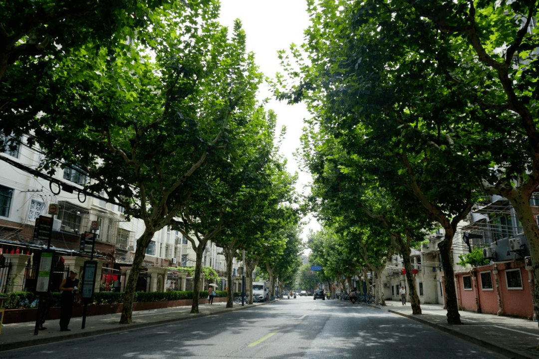 11 延 长 西 路  (沪太路 - 双山路) 12 怒 江 北 路 (大渡河路