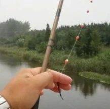 什么是浮钓？该怎么操作？_钩子