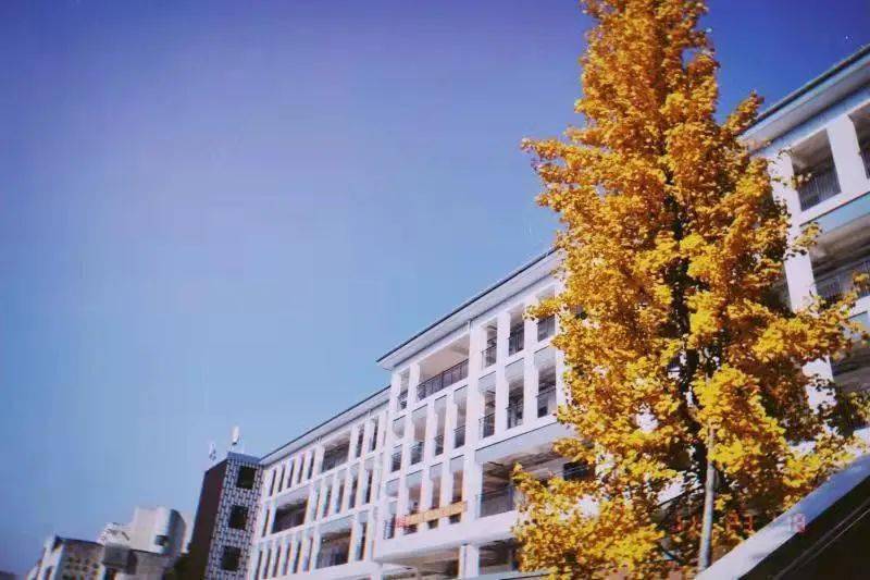 金华市第一中等职业学校2021年9月15日節mid-autumnfestival