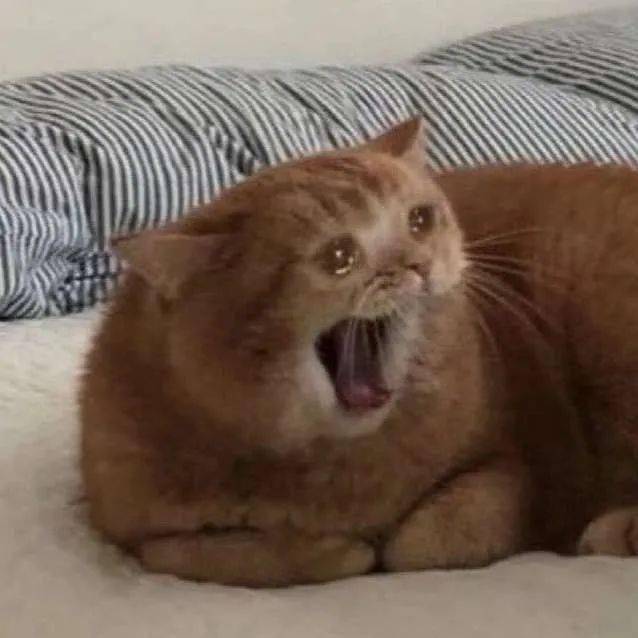 弱成语什么_成语故事简笔画(4)