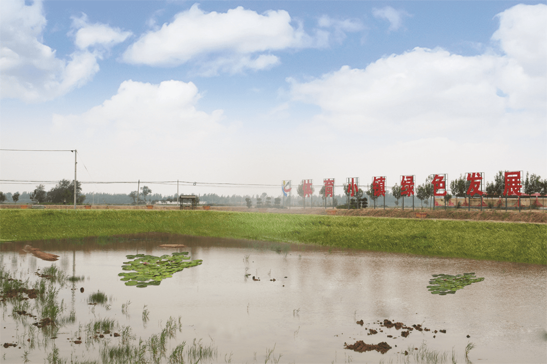 庆云县崔口镇:文明之花扮靓美丽乡村 文明乡风吹进千家万户