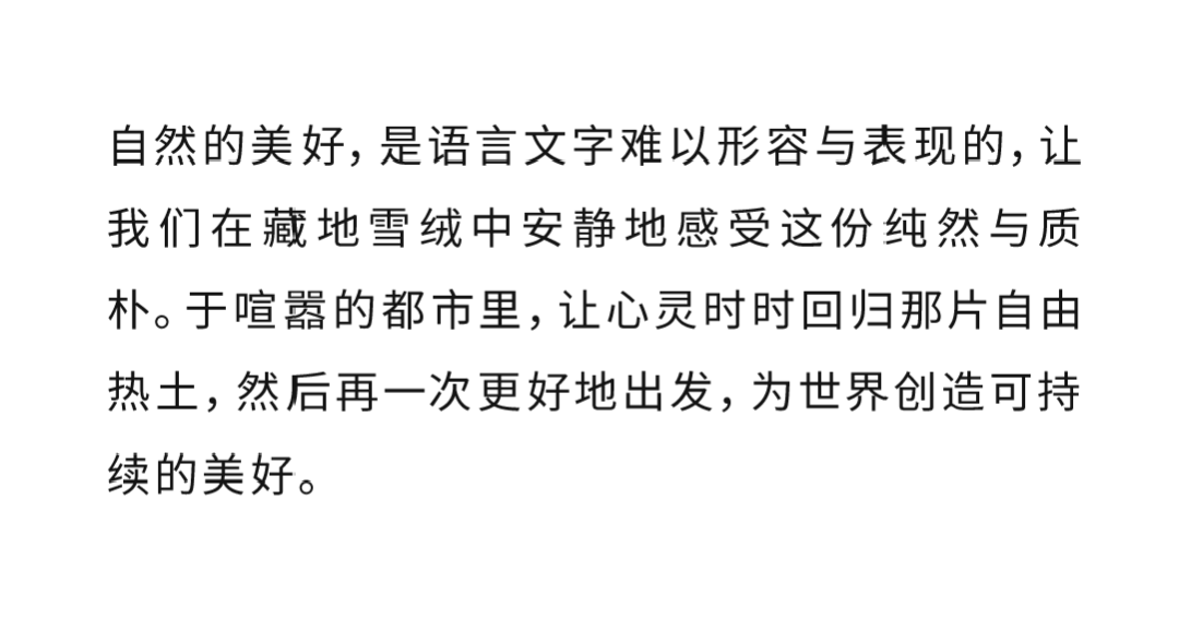 外套简谱_风是外衣吉他谱(2)