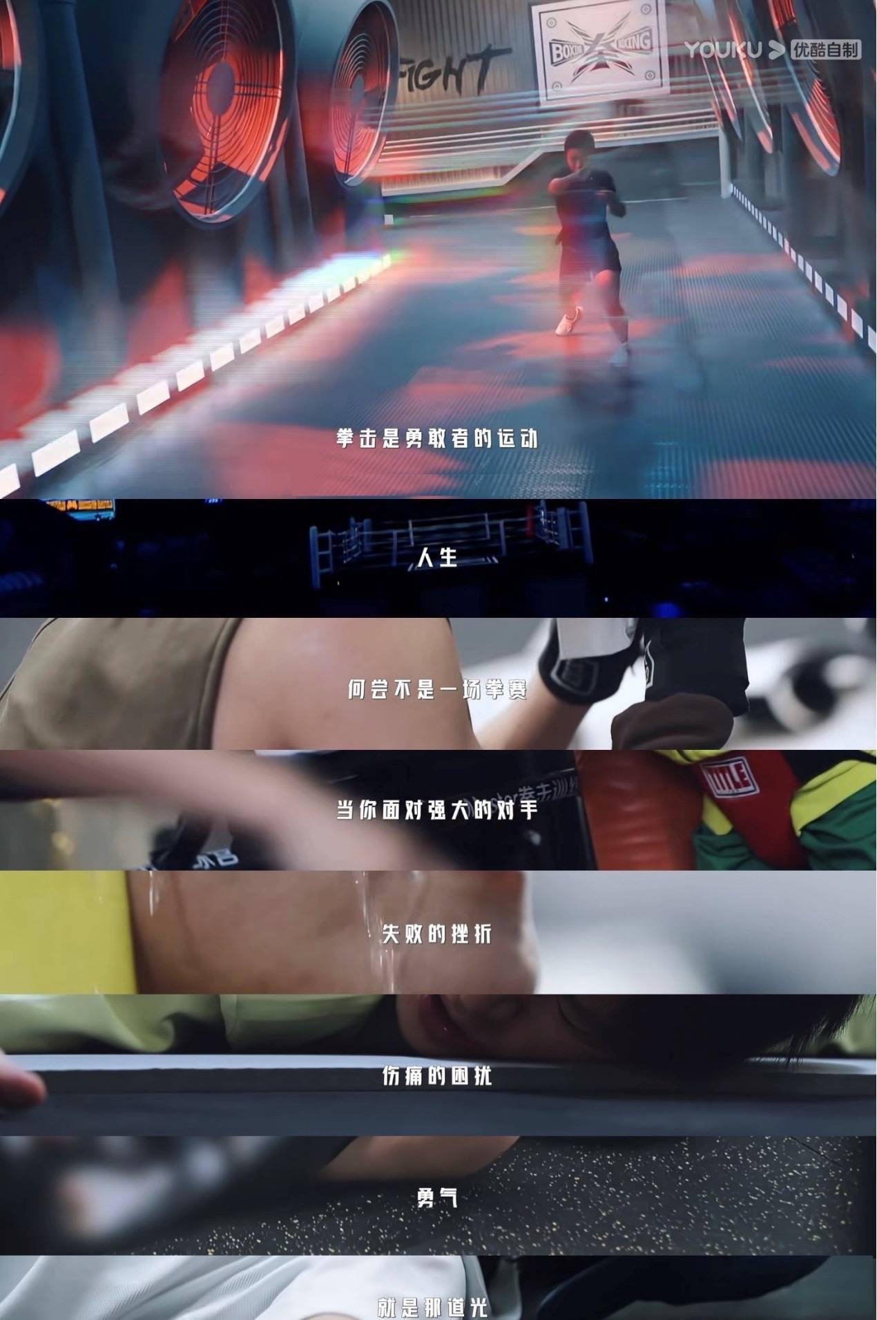 女人之间打架都是抓头发?这些跟张伟丽过招的女明星有什么本事
