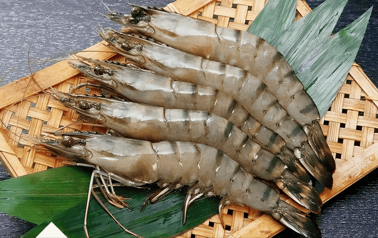 亚洲虎虾肆虐美国,30厘米长重达1斤,中国网友支招:敞开肚皮吃