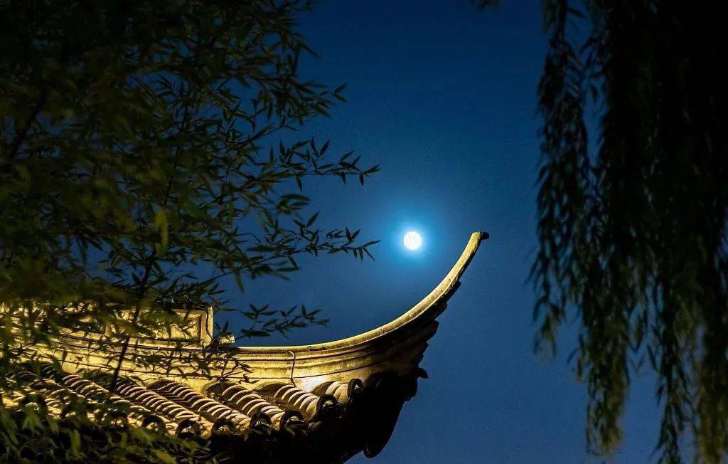月是故乡明情是亲人浓丨常山最美赏月地推荐指南