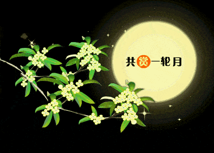 440_316gif 动态图 动图