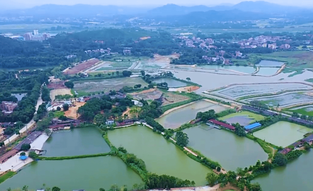 清遠市陽山縣嶺背鎮蒲蘆洲村(十大美麗鄉村)7.