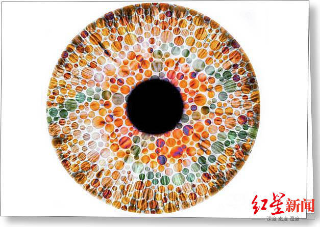 色觉|入学5天艺术设计新生因“色盲”被退学 高考体检为“色弱”，多家三甲医院检查结果均不一致
