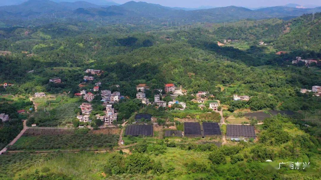 防城港市唯一东兴这个村作为广西乡村振兴特色案例亮相
